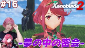 メツと消えたホムラ【ゼノブレイド２】#16