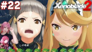 ニアの「カメ頭」発言にヒカリちゃんがどうやら興奮してしまったようです【ゼノブレイド２】#22