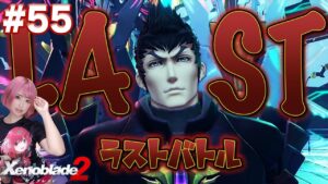 世界の未来はレックスの手の中に！メツと最後の戦い！【ゼノブレイド２】#55