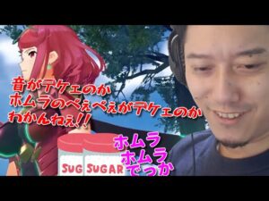 ゼノブレイド2のPVを見る布団ちゃん　2022/02/10