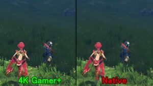 ４K Gamer+ 画質比較【クローズアップ】  ゼノブレイド2