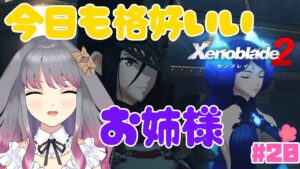 【ゼノブレイド２】part20  キクの行方を追う【兎ノ咲 葵】