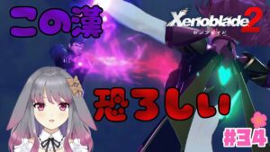 【ゼノブレイド２】part34 メツこっわ……(キズナトーク回)【兎ノ咲 葵】