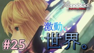 【ゼノブレイド】神ｖｓ神＃２５【実況プレイ】