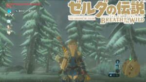 【ゼルダの伝説ブレスオブザワイルド】#37 完全クリアの道~ゼノブレイドコラボ攻略編、現在ほこら87、コログ580【ネタバレ禁止】