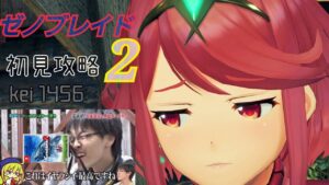 【ゼノブレイド2】自分の持ちキャラをいろんなアングルで観察するゲーム　#3