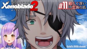 【ゼノブレイド2:Part11】暗くて深い雲海の底【エクリエル #えくなま】
