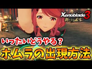 【ゼノブレイド3 新たなる未来】ホムラ＆ヒカリの出現方法は？隠しヒーロー枠で存在するのか？【攻略/エキスパンションパス/Xenoblade3/有料DLC/シュルク/レックス/ホムラ/ヒカリ
