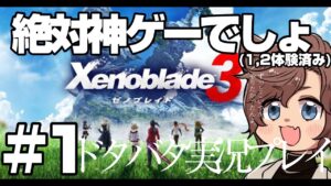 色々落ち着いてやっと始められるゼノブレイド３