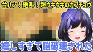 【ゼノブレイドネタバレ注意】カプチュウ大歓喜の展開の連続で興奮しっぱなしの先斗寧【にじさんじ切り抜き】